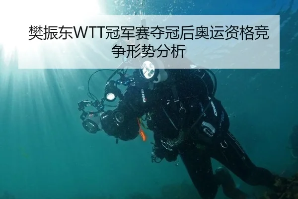 樊振东WTT冠军赛夺冠后奥运资格竞争形势分析