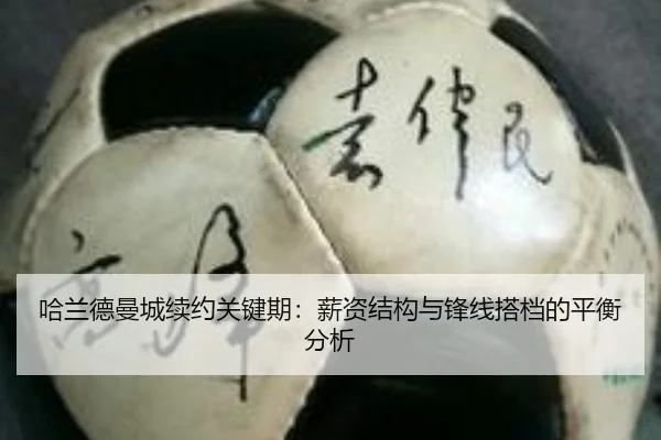 ha-lan-de-man-cheng-xu-yue-guan-jian-qi-xin-zi-jie-gou-yu-feng-xian-da-dang-de-ping-heng-fen-xi-3-298.jpg